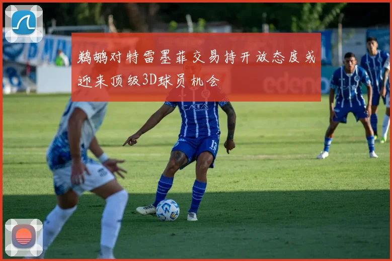 鹈鹕对特雷墨菲交易持开放态度或迎来顶级3D球员机会